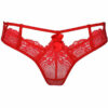 String V-8988 - Axami – Image 2