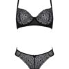 Bikini Zinnia - Passion ECO Collection – Image 2