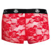 Boxer Brave - Anaïs for Men – Image 3
