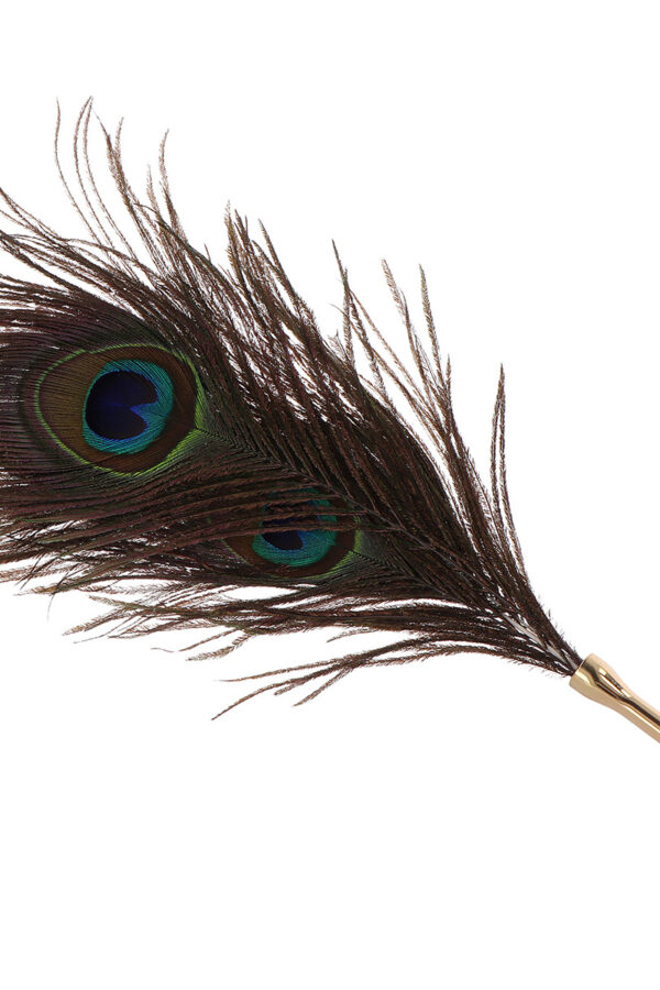 Plumeau à caresses Peacock Tickler - Taboom – Image 3