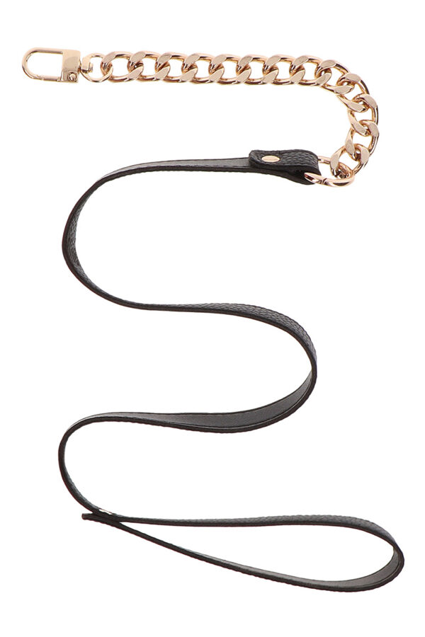 Collier et laisse Statement - Taboom – Image 3