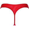String V-8988 - Axami – Image 3