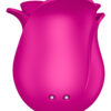 Stimulateur clitoridien Satisfyer Pro 2 Modern Blossom – Image 3