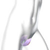 Double stimulateur Wonderlover mauve - Love to Love – Image 3