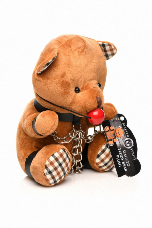 Ours en peluche bâillonné – Image 4