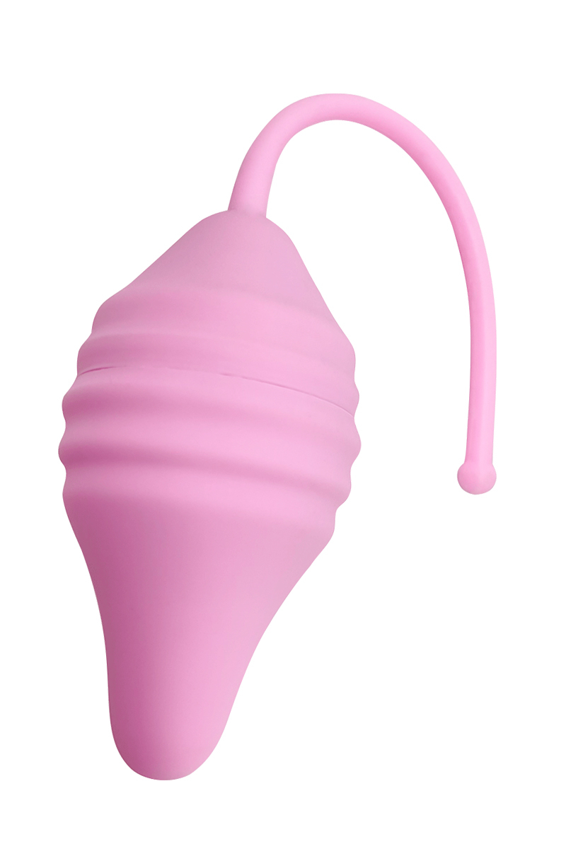 Pelvix Concept - Femintimate – Image 2